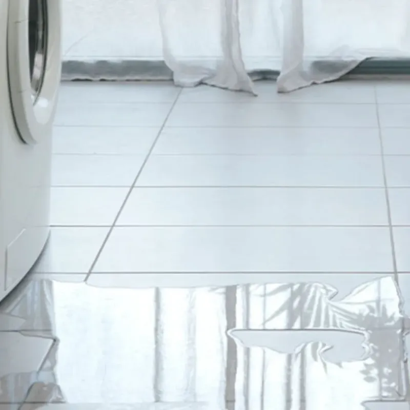 Appliance Leak Cleanup in Alva, FL