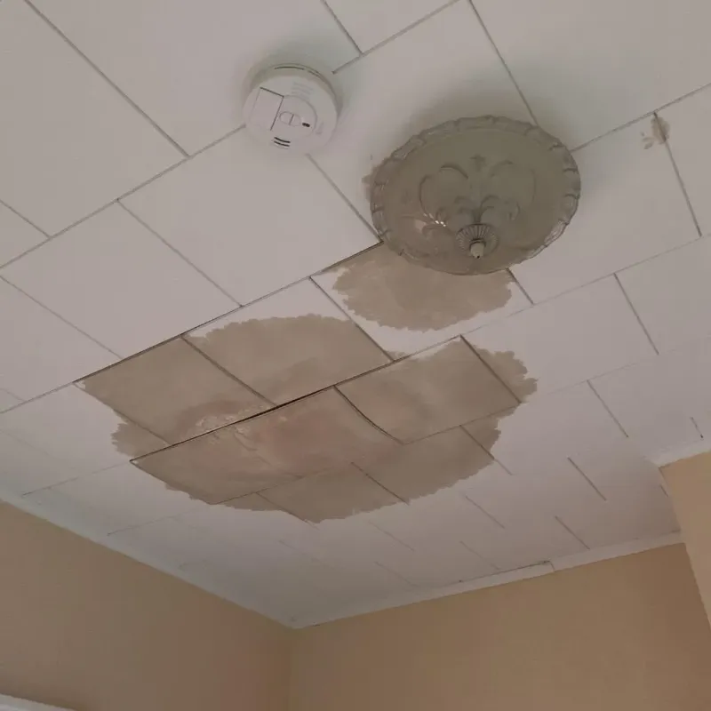 Ceiling Water Damage Repair in Alva, FL